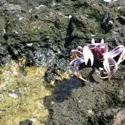 Marine Protected Areas - Bairiki