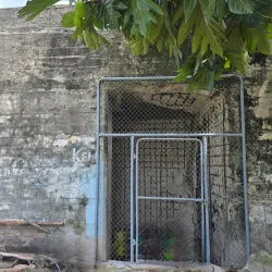Japanese WWII Bunker Ruins - Tarawa