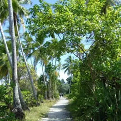 Tarawa Lagoon - Tarawa