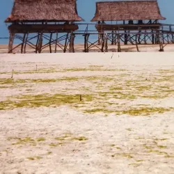 Tarawa Lagoon - Tarawa
