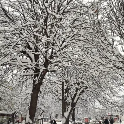 City Park Gjilan - Gjilan (Gnjilane)