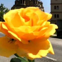 Gjilan City Center - Gjilan (Gnjilane)