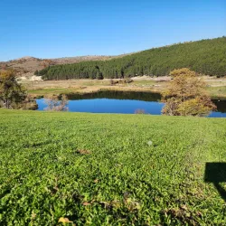 Gjilan City Center - Gjilan (Gnjilane)