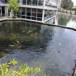 Istok Old Town - Istok