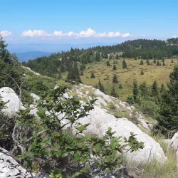 Istok Old Town - Istok