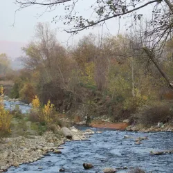 Local Market of Kačanik - Kačanik