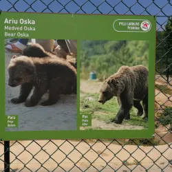 Bear Sanctuary Prishtina - Kosovo Polje