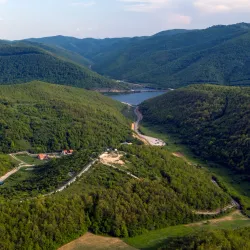 Bear Sanctuary Prishtina - Kosovo Polje