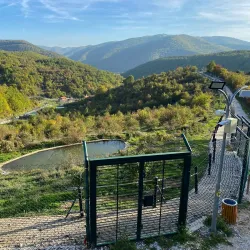 Bear Sanctuary Prishtina - Kosovo Polje