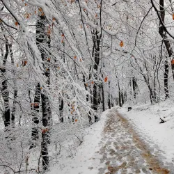 Germia Park - Kosovo Polje