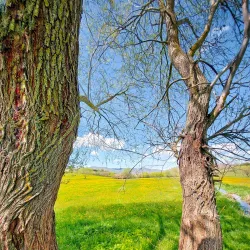 Lipljan Town Center - Lipljan