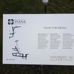 Local Markets and Festivals - Lipljan