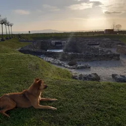 Local Markets and Festivals - Lipljan