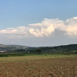 Local Markets and Festivals - Lipljan