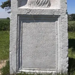 Local Markets and Festivals - Lipljan