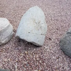 Local Markets and Festivals - Lipljan