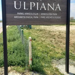 Local Markets and Festivals - Lipljan