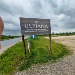 Local Markets and Festivals - Lipljan