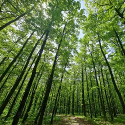 Natural Surroundings and Hiking Trails - Lipljan