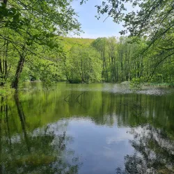 Natural Surroundings and Hiking Trails - Lipljan