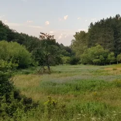 Natural Surroundings and Hiking Trails - Lipljan