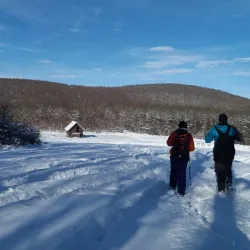 Natural Surroundings and Hiking Trails - Lipljan