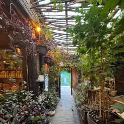 Traditional Kosovo Cuisine Restaurants - Lipljan