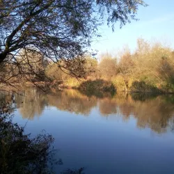 Ibar River - Mitrovica