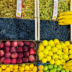 Local Market of Podujevo - Podujevo (Podujeva)