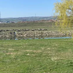 Bistrica River Park - Vučitrn