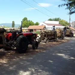 Local Handicraft Workshops - Vučitrn
