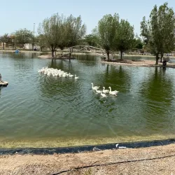 Failaka Island - Abraq Khaitan