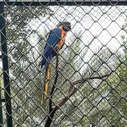 Kuwait Zoo - Abraq Khaitan