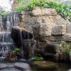 Kuwait Zoo - Abraq Khaitan