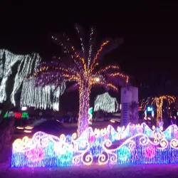 Ahmadi Community Center - Ahmadi