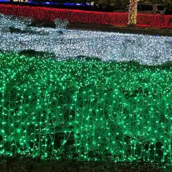 Ahmadi Park - Ahmadi