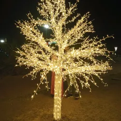 Ahmadi Park - Ahmadi