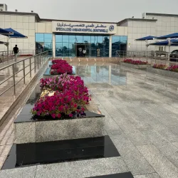 Al Ahmadi Hospital - Ahmadi