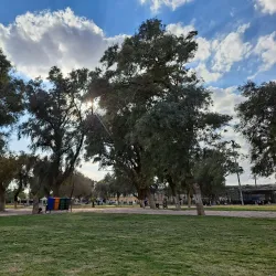 Green Belt Area - Ahmadi