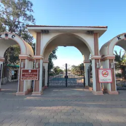 Green Belt Area - Ahmadi