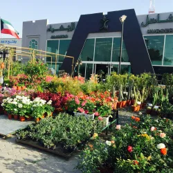 Al Jahra Agricultural Area - Al-jahra'