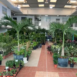 Al Jahra Agricultural Area - Al-jahra'