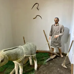 Al Jahra Fort - Al-jahra'