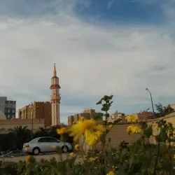 Al Jahra Oasis - Al-jahra'