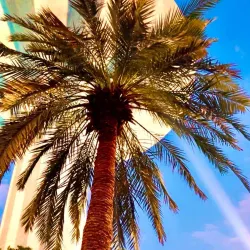 Al-'Udayliyah Park - Al-'udayliyah