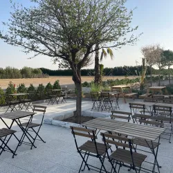 Local Cafes and Tea Houses - Al-'udayliyah