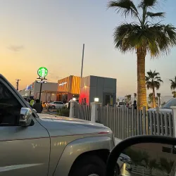 Al Wafrah Date Palm Farms - Al Wafrah