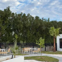 Local Eateries and Cafes - Al Wafrah