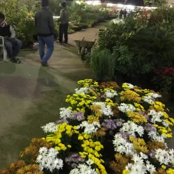 Local Traditional Markets - Al Wafrah