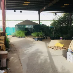 Local Traditional Markets - Al Wafrah